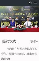 响应式网站设计案例